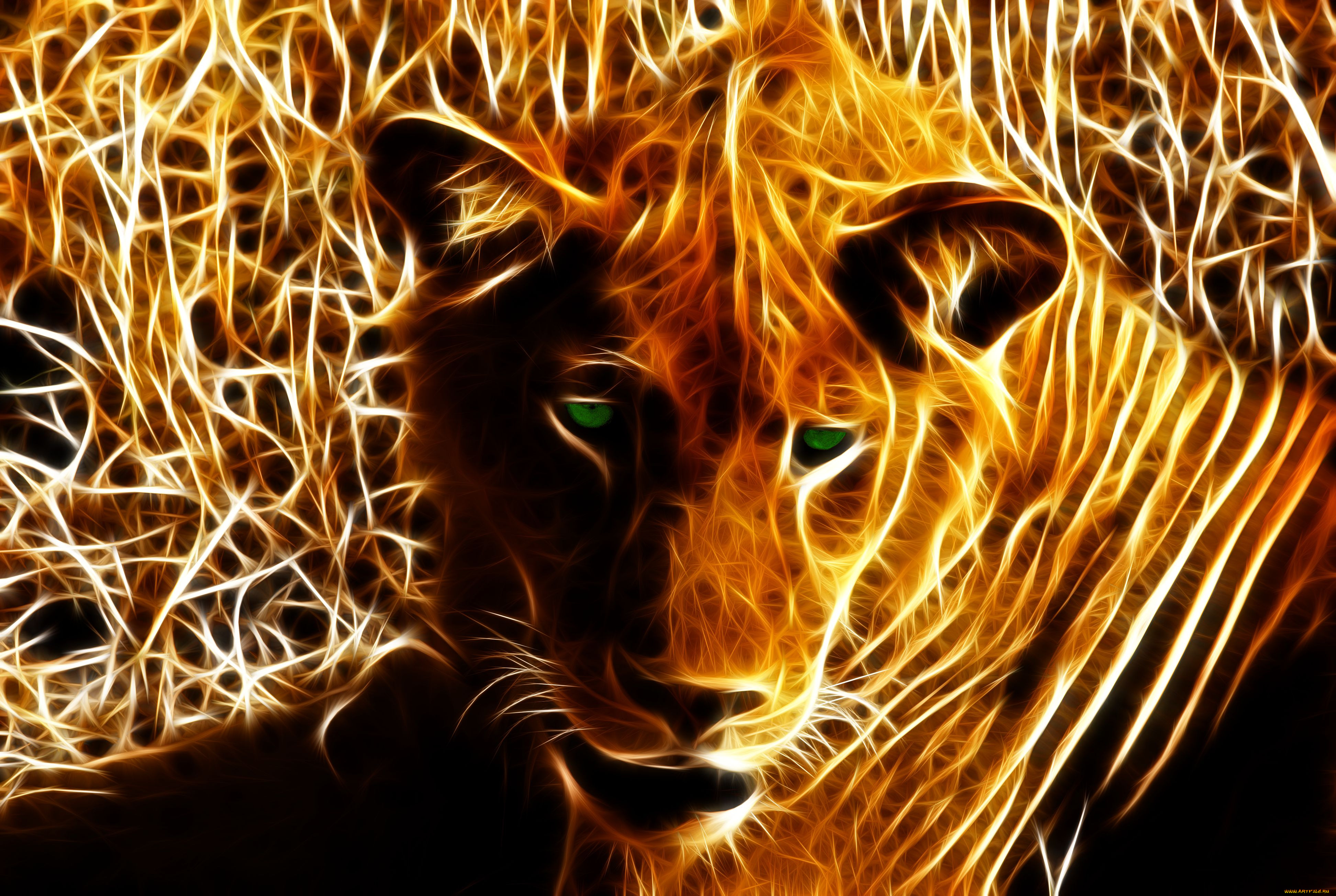 3, , animals, , 